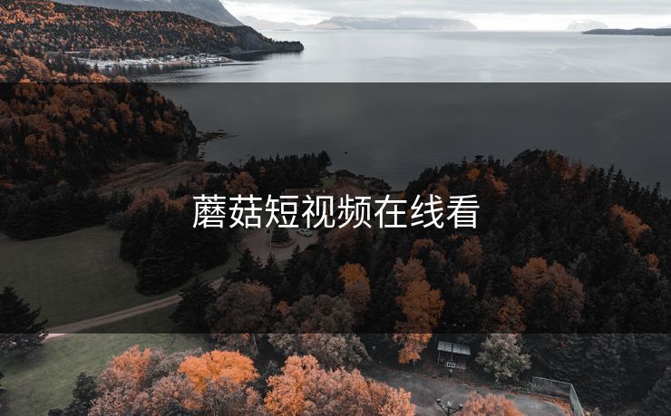 蘑菇短视频在线看 蘑菇视频 蘑菇短视频 蘑菇视频下载 蘑菇影视在线观看 蘑菇视频电脑版 蘑菇影视官网 蘑菇视频app下载 蘑菇视频ios 蘑菇视频官网 第1张