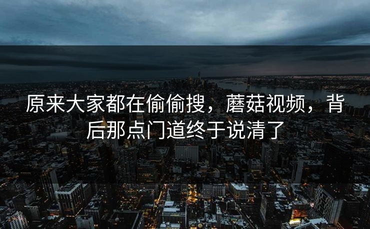 原来大家都在偷偷搜，蘑菇视频，背后那点门道终于说清了  第1张