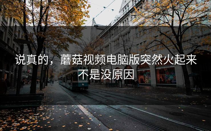 说真的，蘑菇视频电脑版突然火起来不是没原因  第1张
