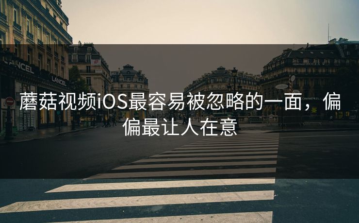 蘑菇视频iOS最容易被忽略的一面，偏偏最让人在意  第1张