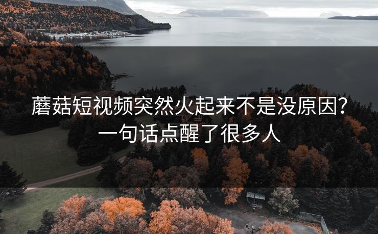 蘑菇短视频突然火起来不是没原因？一句话点醒了很多人  第1张