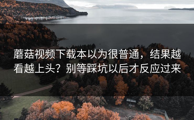 蘑菇视频下载本以为很普通，结果越看越上头？别等踩坑以后才反应过来  第1张