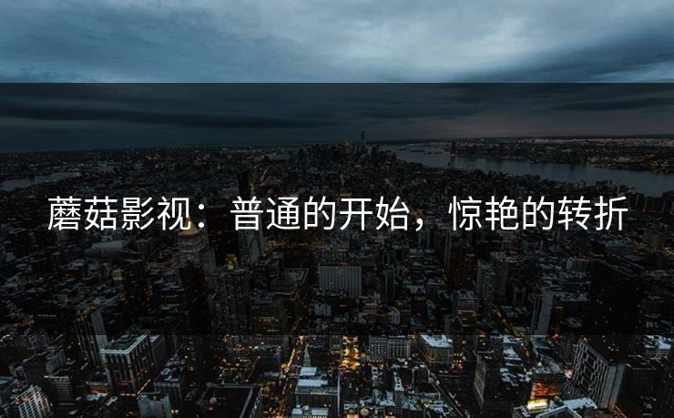 蘑菇影视:普通的开始,惊艳的转折 第1张 蘑菇影视:普通的开始,惊艳的转折 第1张