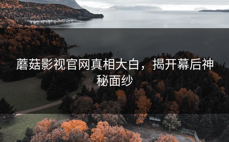 蘑菇影视官网真相大白,揭开幕后神秘面纱 第1张 蘑菇影视官网真相大白,揭开幕后神秘面纱 第1张