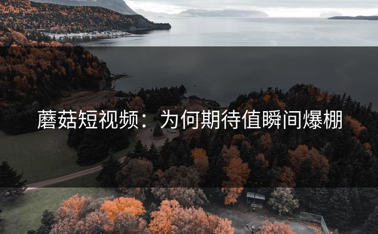 蘑菇短视频:为何期待值瞬间爆棚 第1张 蘑菇短视频:为何期待值瞬间爆棚 第1张