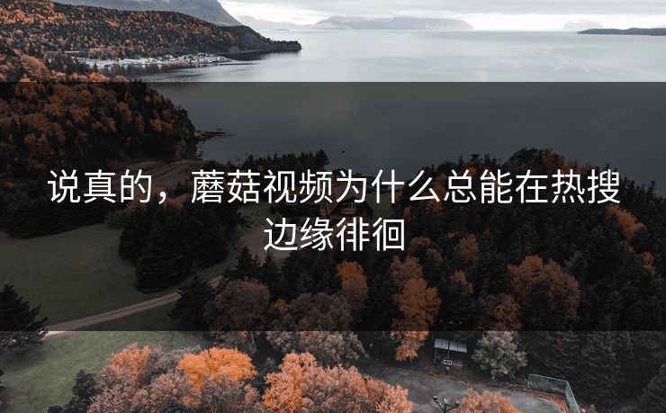 说真的,蘑菇视频为什么总能在热搜边缘徘徊 第1张 说真的,蘑菇视频为什么总能在热搜边缘徘徊 第1张